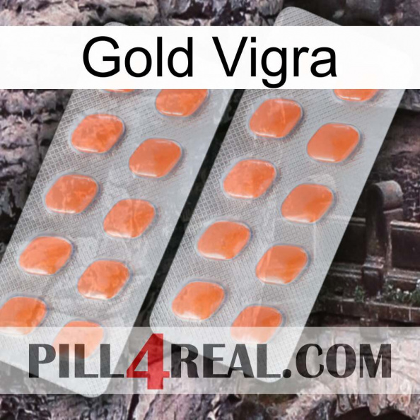 Gold Vigra 27.jpg